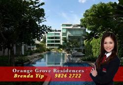 Orange Grove Residences (D10), Condominium #46069382